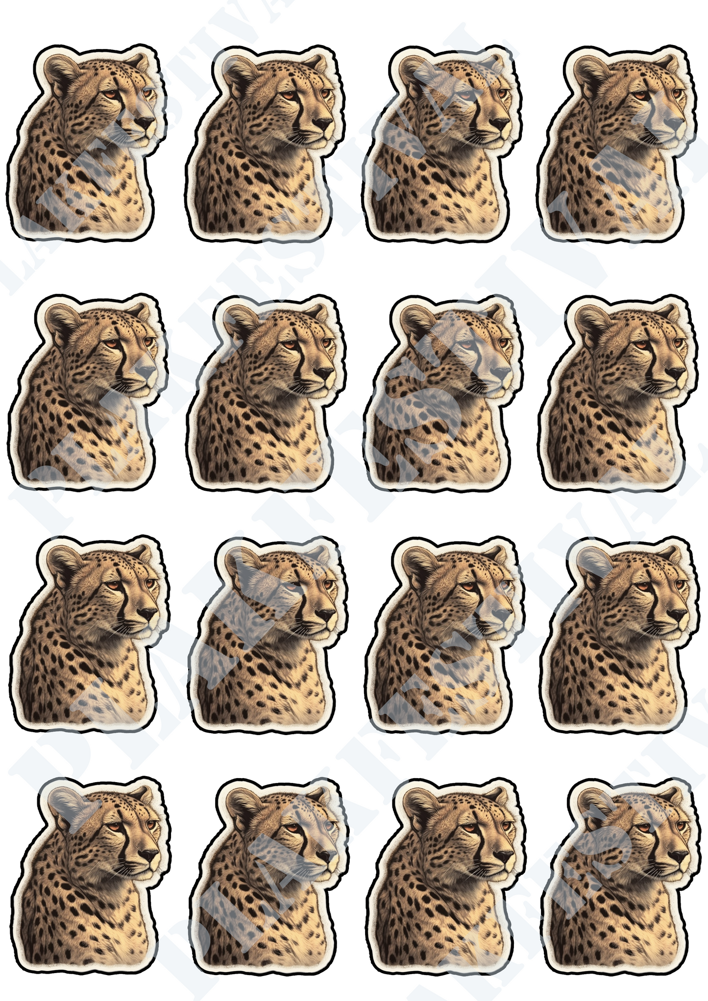 Maak een statement met onze 'Cheetah's Pride' sticker | Een fusie van kracht en stijl voor degenen die hun wildernisgeest willen tonen!